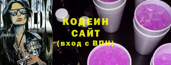 эйфоретик Няндома