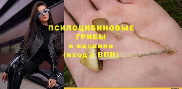 эйфоретик Няндома
