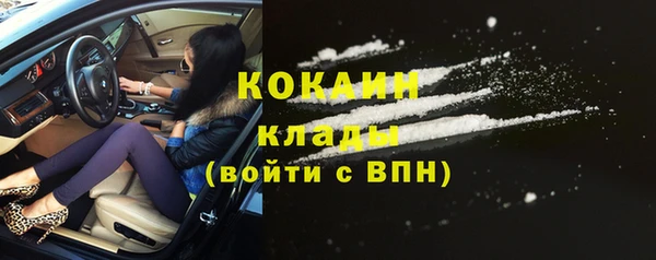 эйфоретик Няндома