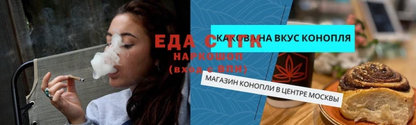 эйфоретик Няндома