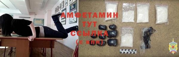 эйфоретик Няндома