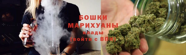 эйфоретик Няндома