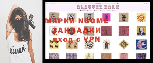 эйфоретик Няндома