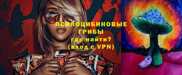 крисы Нязепетровск