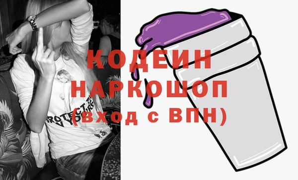 эйфоретик Няндома